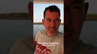 Thoughts on the Test Sail process