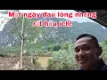 Download Lagu Một ngày đau lòng nhưng rất hữu ích! Còn nhiều việc dang dở!