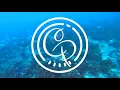 Mondo Loops ft. kanisan - Terrapin     #chillpheals#relax#nature#hiphopbeats#chillbeats#lofibeats