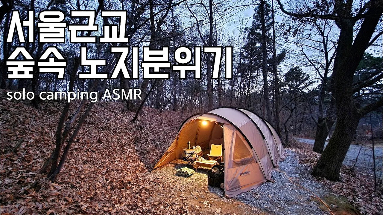 서울근교 숲속 캠핑장/올해 여기 자주 올 것 같습니다/엉파 양삼겹살 먹방과 불멍 썸네일