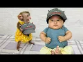 Lagu monkey Diana took the hat and put it on the baby's head to find her mother because missed her