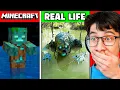Lagu Minecraft Items in REAL LIFE! (Animals, Items, Blocks)