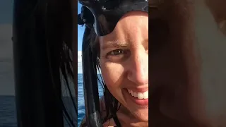 Beautiful experience!! 🐳 #shorts