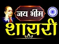 Download Lagu भीम शायरी 2023//Happy Bhim Jayanti। जय भीम। चमार शायरी 2022//जाटव स्टेटस।। भीम जयंती 2023।