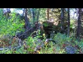 Castle Rock Hot Zone Search for Sinks Sasquatch