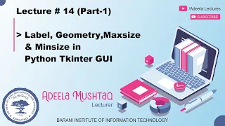 Label Geometry Maxsize Minsize in Python Tkinter GUI