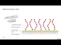 Biacore Surface Plasmon Resonance Observing Molecular Interactions in Real-Time