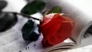 حوار بين قلبى وعقلى دندنها