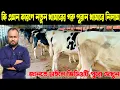 ১২৪ - কি এমন কারণে নতুন খামারের সকল গরু পুরান খামারে নিয়ে গেলাম জানতে হলে পুরো ভিডিওটা দেখুন