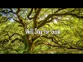 Beneath Oak Trees by Dylan Gossett (Lyrics)