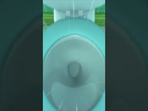 Down the toilet