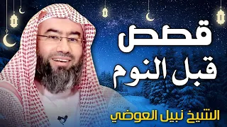 إستمع إلى أغرب القصص المشوقة و العجيبة قصص ذات عبرة نبيل العوضي أروع القصص  إستمع إلى أغرب القصص المشوقة و العجيبة قصص ذات عبرة نبيل العوضي أروع القصص