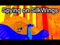 Spying on SilkWings