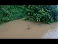 Download Lagu Tertonggeng botol tu.... Ada rezeki harga kayangan ni