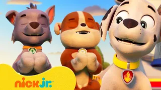 Practice Yoga with PAW Patrol! 🧘 | Mindfulness for Kids | Nick Jr.