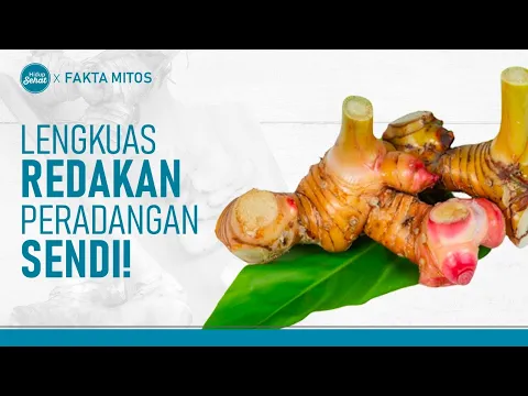 Ampuh! Pakai Lengkuas Untuk Peradangan Sendi