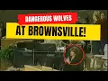 The Dangerous Guest Speakers at the Brownsville Revival