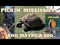 What to do in Mid Mississippi flea markets and antiques a waterfall and a zoo Hattiesburg Laurel