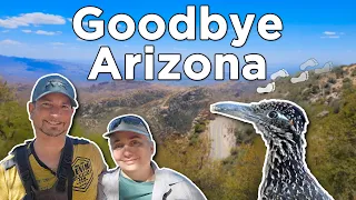 Birding Tucson Final Arizona Mount Lemmon Sweetwater Saguaro NP