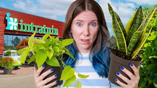 this garden store in the netherlands is huge 