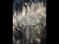 Download Lagu 🖤🎧 https://s.snackvideo.com/p/21tZGd1o