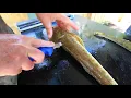 How to clean a flathead for the perfect boneless fillet