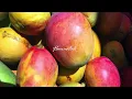 Four Tet - Mango Feedback
