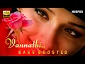 Download Lagu Vannathi Pullinu Doore | BASS BOOSTED AUDIO | Mizhineer | Shyam Dharman