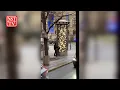 Download Lagu Video shows Czech police responding to shooting at Prague University