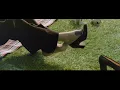 removing the shoes in the movie what have you done to solange