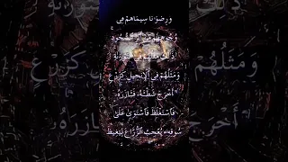 محمد رسول الله والذين معه اشداء الشيخ ياسر الدوسري 