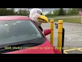 Gate Code Demonstration