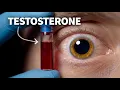 Men don t need more therapy They need more testosterone