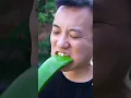 Download Lagu Creazy!eat raw！aloe vera| Chinese Food Eating Show | Funny Mukbang ASMR