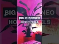 Download Lagu BBB Selects 001: Downtempo chill by ‘Big in Borneo’. #chillmusic #chillmusic