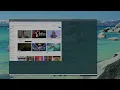 Running web browser inside Terminal