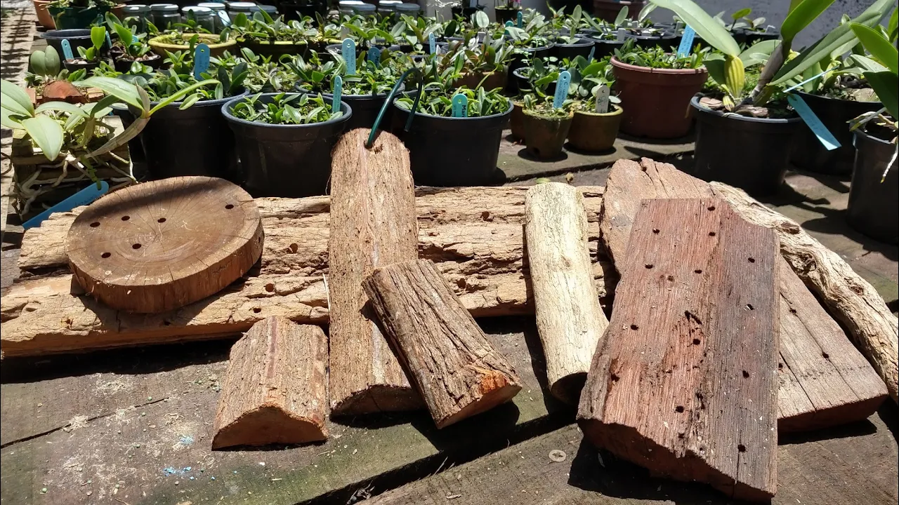 MADEIRAS PARA ORQUÍDEAS