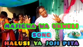 Majigwa Wa Ukweli Song Halusi Ya Joji Pita Official Video 2024 