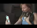 Charleston Cat Cafe has soaring adoption rates