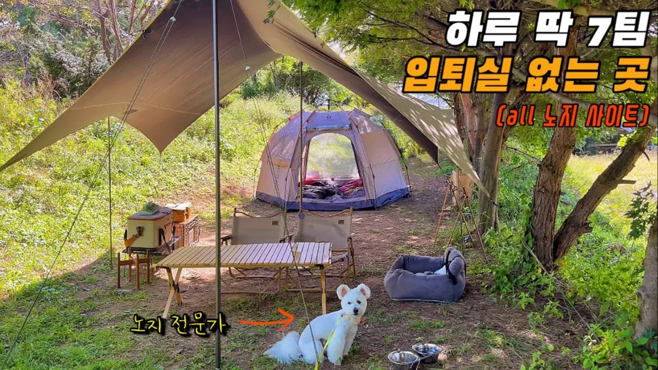 애견동반 캠핑 | 노지 러버 모이세요 🙌🏻 | 촌캠핑이 대세 | 프라이빗한 미니멀캠 | 하루 딱 7팀 입퇴실 자유로운 곳 | camping 썸네일