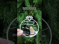 Our First Christmas Married Personalized Custom Shaped Acrylic Ornament