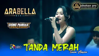 tanda merah tiara amora arabella music dhehan pro audio wong pandak 2025