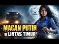Lagu VIRAL❗ SEORANG GADIS SOPIR BUS LINTAS TIMUR LAMPUNG MEMB4NT4I PARA BEGAL JALANAN