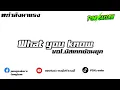 Lagu #กำลังมาแรง [what you know] Vol.แดนซ์บัสเทค [PSK.RMX]