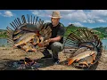 Download Lagu I Built a DIY Fish Trap That’ll Make Every Fisherman Jealous