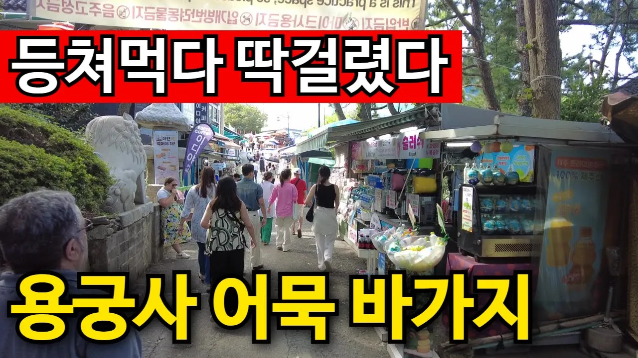 관련 영상 썸네일