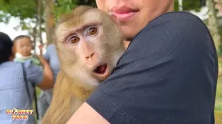 Heartwarming, affectionate moments as Dad and Monkey Kaka reunite