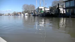 Life is Like Sailing – Ladner Reach