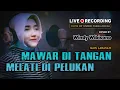 Download Lagu MAWAR DI TANGAN MELATI DI PELUKAN (Nais Larasati) DANGDUT COVER by Windy Wibisono