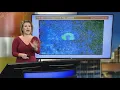 It s a bird it s a plane No A colony of bats spotted on doppler radar